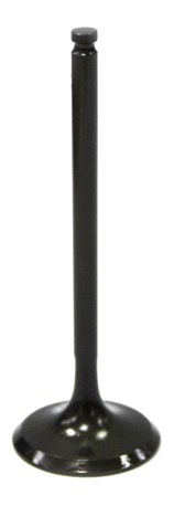 Outlaw Racing Intake Valve