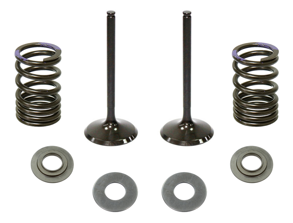 Psychic Intake Valve Kit